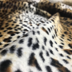 Pelo leopardo 1