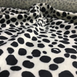 Pelo dalmata 2