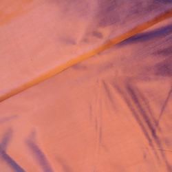 Seda Salvaje 5