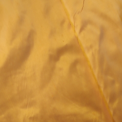 Seda Salvaje 6