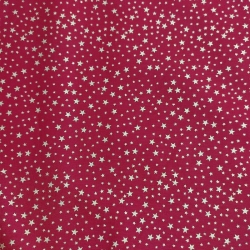 Navidad Estrellas Doradas Roja 4