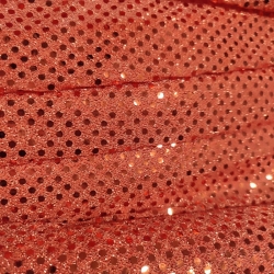 Lentejuelas pequeñas 13