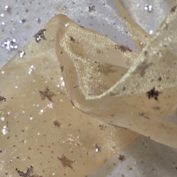 Gassa Cristal Con Dibujo Disfraz 10