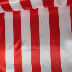 Rasete Disfraz Raya Ancha 7