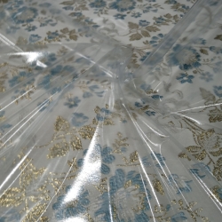 Plástico Transparente Fino 0