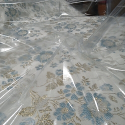 Plástico Transparente Fino 2