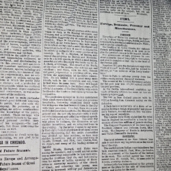 Algodón Mod. Periódico 0