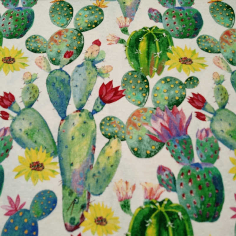 Loneta Cactus